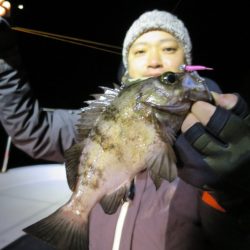 Chase(チェイス) 釣果