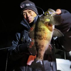 Chase(チェイス) 釣果