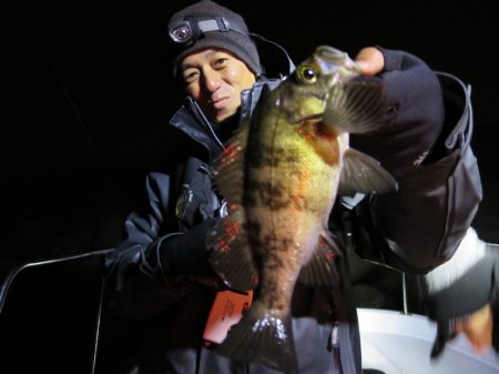 Chase(チェイス) 釣果