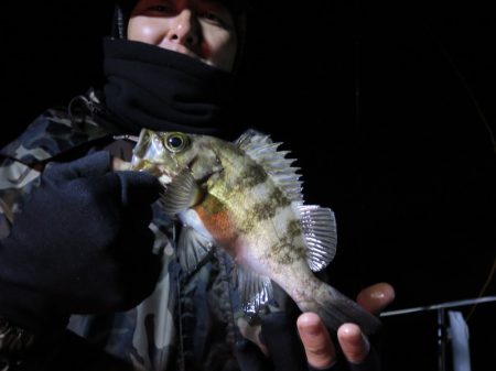 Chase(チェイス) 釣果