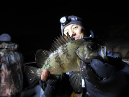 Chase(チェイス) 釣果