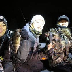 Chase(チェイス) 釣果