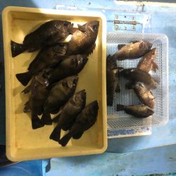 ヤザワ渡船 釣果