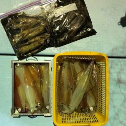 第二八坂丸 釣果