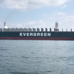 遊漁船メテオ 釣果