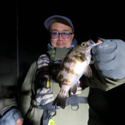 Chase(チェイス) 釣果