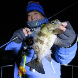 Chase(チェイス) 釣果