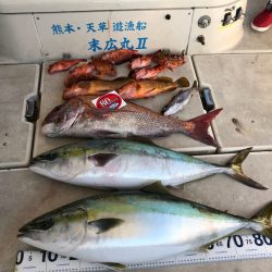 末広丸(熊本) 釣果