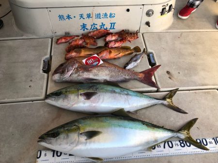 末広丸(熊本) 釣果