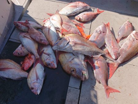 ブルースフィッシングサービス 釣果