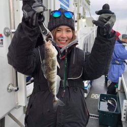 シーランチ 釣果