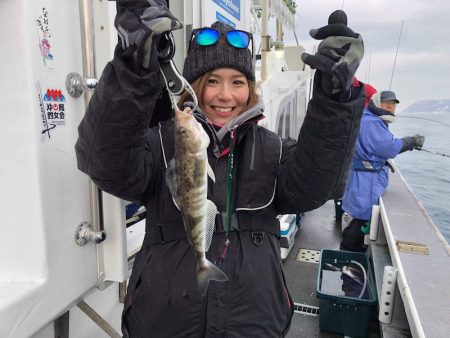 シーランチ 釣果