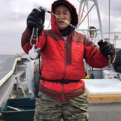 シーランチ 釣果