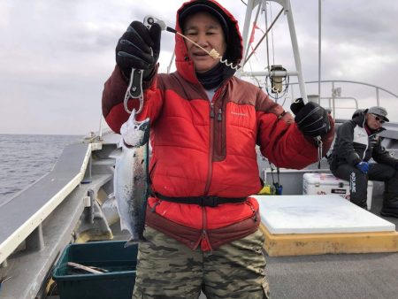 シーランチ 釣果