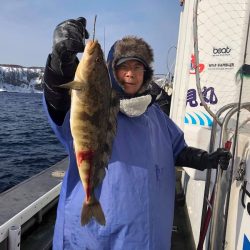 シーランチ 釣果