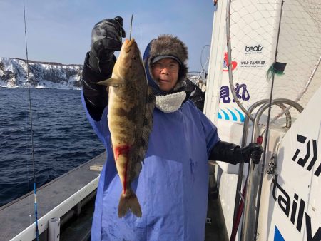 シーランチ 釣果