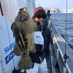 シーランチ 釣果