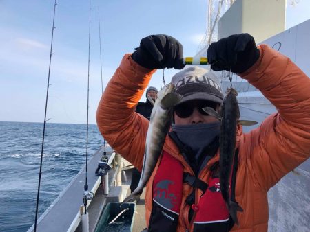 シーランチ 釣果