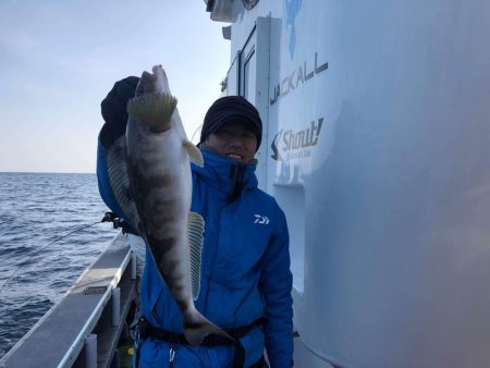 シーランチ 釣果