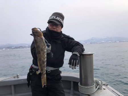 シーランチ 釣果