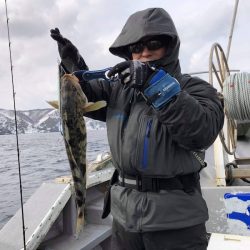 シーランチ 釣果