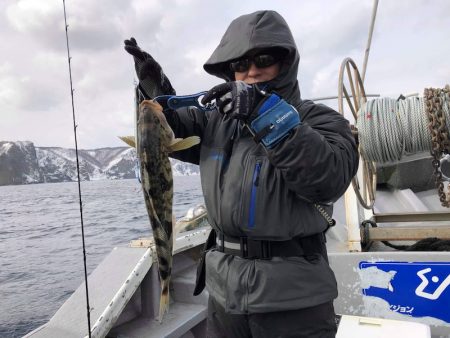 シーランチ 釣果