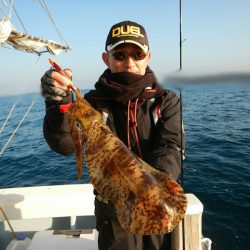 きずなまりん 釣果