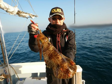 きずなまりん 釣果