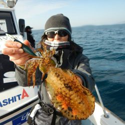きずなまりん 釣果