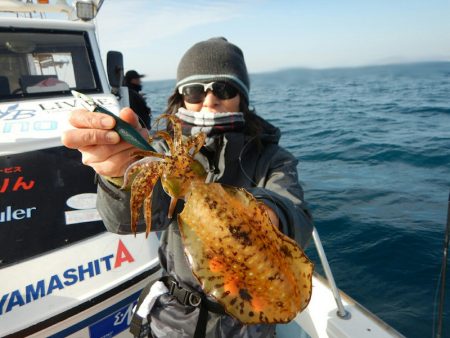きずなまりん 釣果