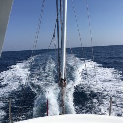 渡船屋たにぐち 釣果