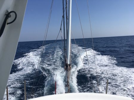 渡船屋たにぐち 釣果