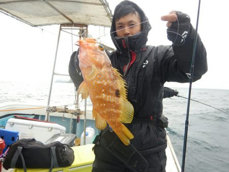 きずなまりん 釣果