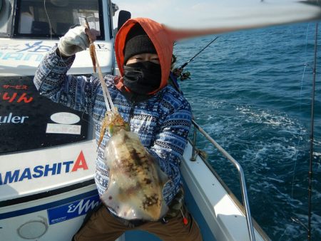 きずなまりん 釣果