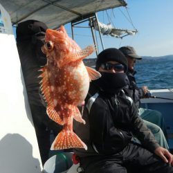 きずなまりん 釣果