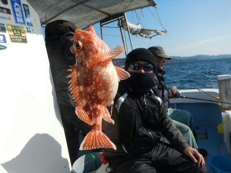 きずなまりん 釣果
