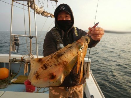 きずなまりん 釣果