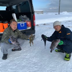 シーランチ 釣果