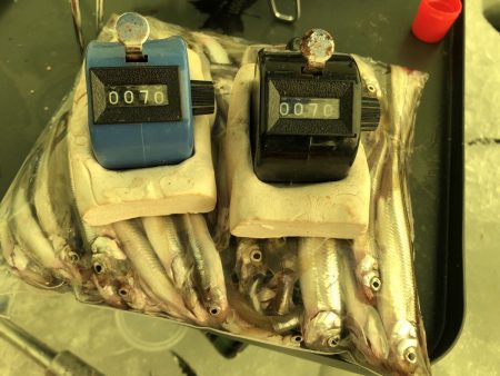 岩手の冬の風物詩『氷上ワカサギ釣り』レポート【そ～あ氏連載 vol.8】