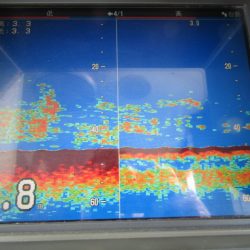 ジギング船 BLUEWATER 釣果