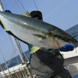 ジギング船 BLUEWATER 釣果