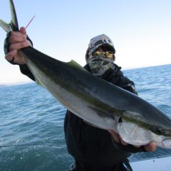 ジギング船 BLUEWATER 釣果