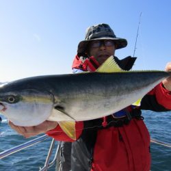 ジギング船 BLUEWATER 釣果