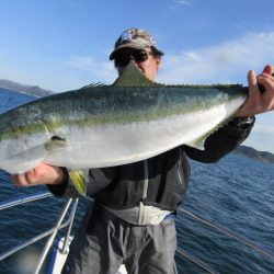 ジギング船 BLUEWATER 釣果