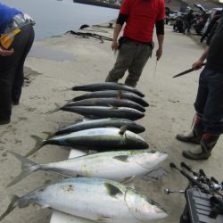 ジギング船 BLUEWATER 釣果