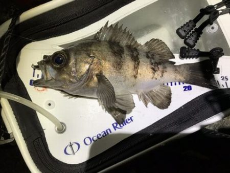 久しぶりの釣り