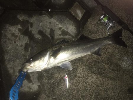 雨後の河川にて