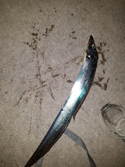 タチウオ釣り　～粘る価値アリ！～