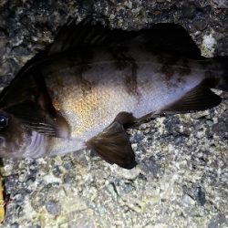 急激な気候変化