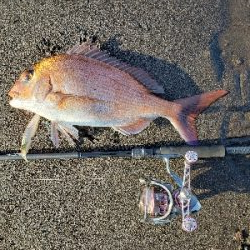 シーズン到来！サーフフィッシング